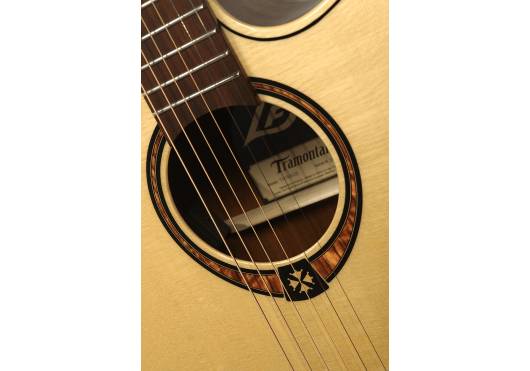 LAG acoustic guitar, Tramontane 318, auditorium 