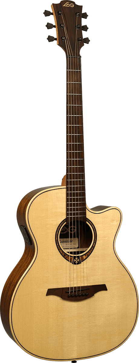 LAG acoustic guitar, Tramontane 318, auditorium 